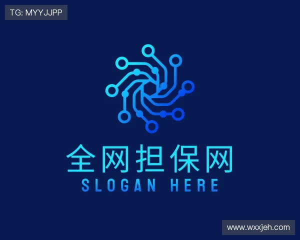 了解全网担保网